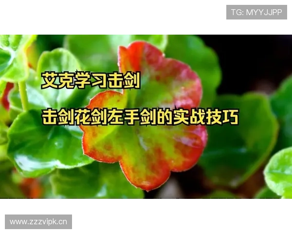 《初学者必读击剑入门指南从基础知识到实战技巧全解析》